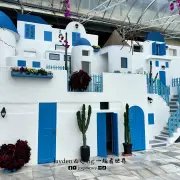 Agro Market9