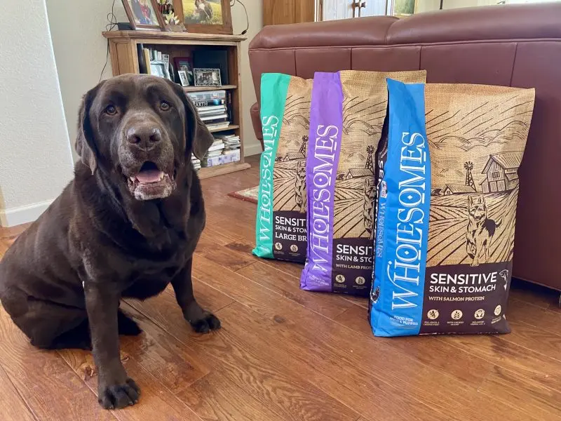Wholesomes Dog Food: A Review of Sensitive Skin & Stomach Formula