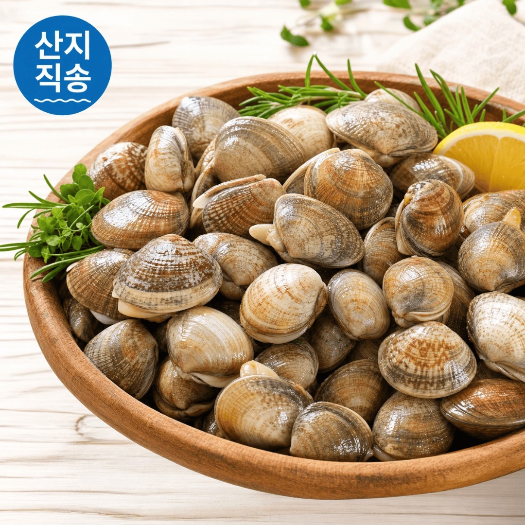 여수 왕바지락 전경