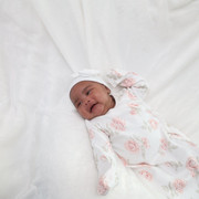 IMG-0731