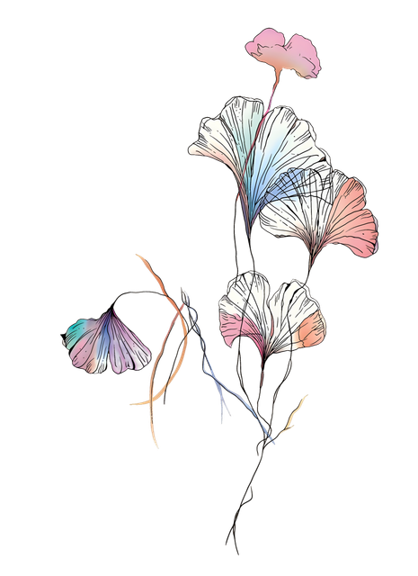 544938e35e271989.png