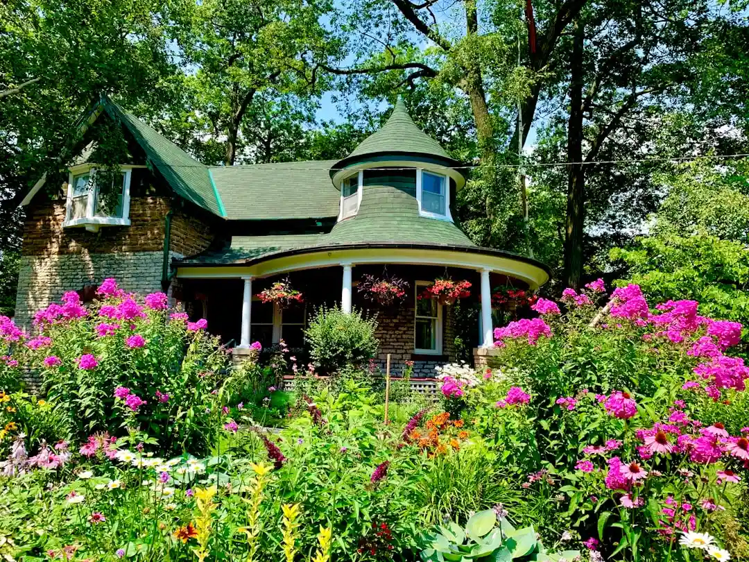 Cottage Garden Abundance din semințe simple