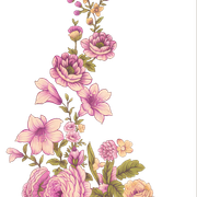 1ab5b083588ffbd64bbf0d9e4aff0adc