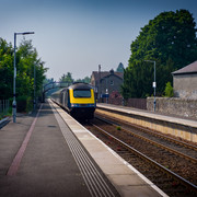 L1461416
