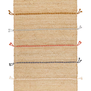 TAPETES COLORES.png
