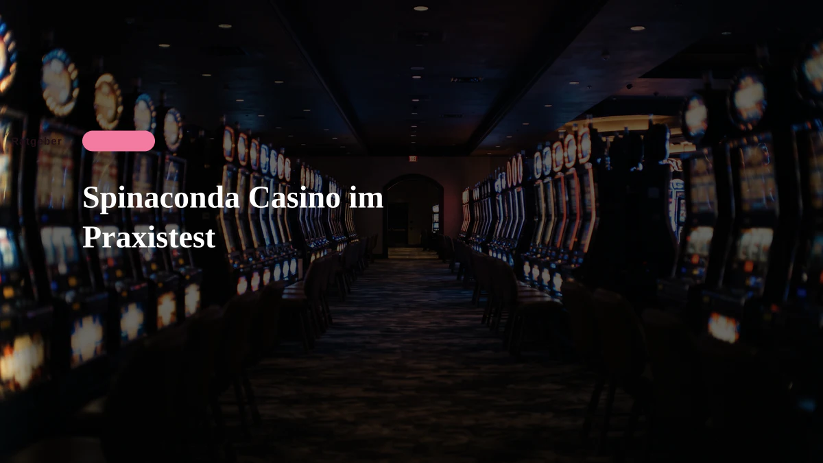 Spinaconda Casino im Praxistest