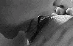 IMG-2313.gif