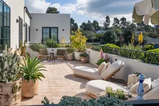 Sfaturi pentru protejarea grădinii împotriva caniculei: cum să o feriți de arșiță și să o mențineți sănătoasă