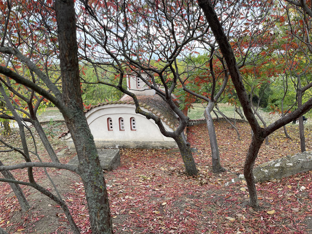 IMG 0390.jpg