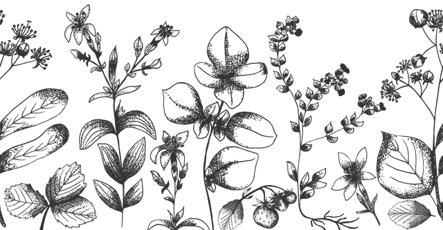 Adobe Stock 567459512.png