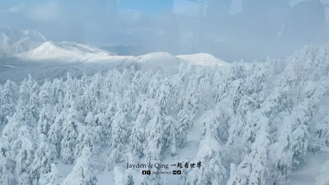 藏王树冰4.webp