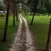 Jason Bay Public Beach1