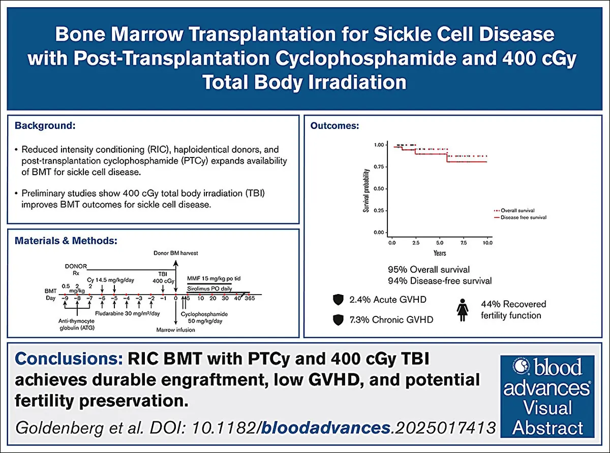 Sickle Cell Cure Rate Reaches 95% With New Transplant Method