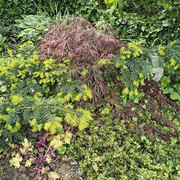garden8