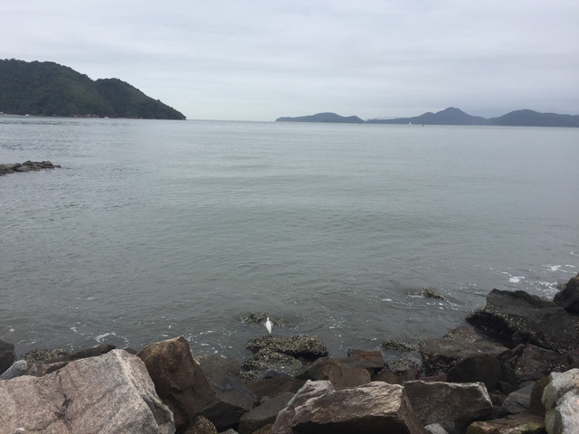 IMG-3733
