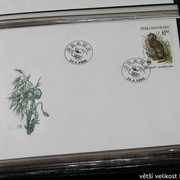 IMG-2532