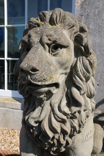 IMG 6398.jpg