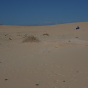 DSCF8552