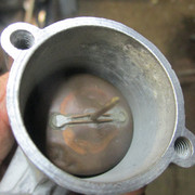 IMG-0361