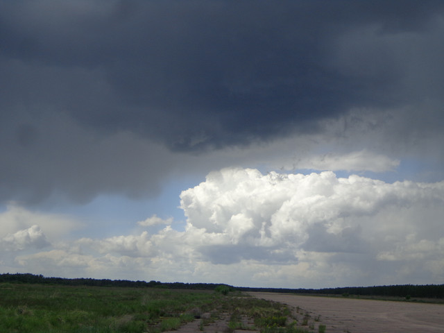 DSC00623.jpg