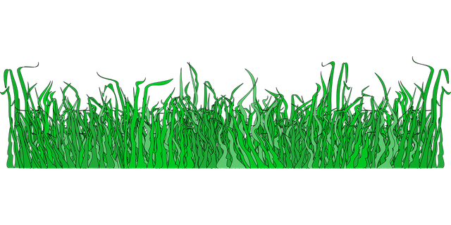 border-1295437-1280.png