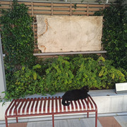 IMG 20260917 165716