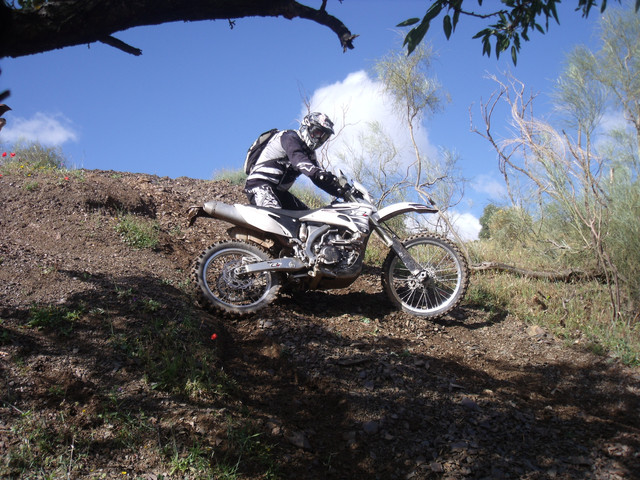 DSCF8275.jpg