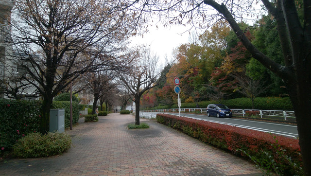IMG-20221121-103420