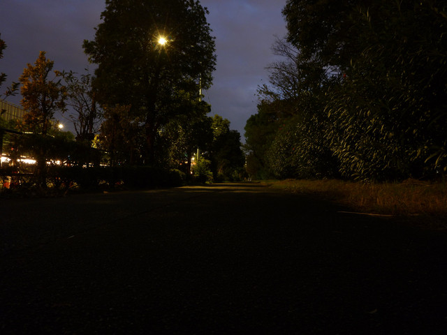 2018-10-19-032