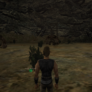 Walkthrough 04