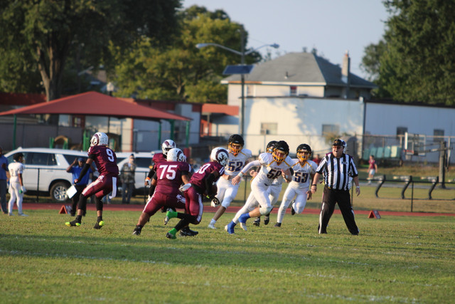 IMG-5388.jpg