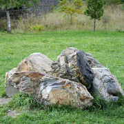 DSC7143