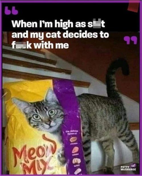 hghassht.jpg