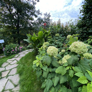 IMG-0667