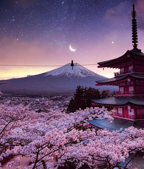 jap-n-Edited