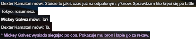ss13.png