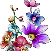 dc51fe1d42df688613388ccf3126ffd4