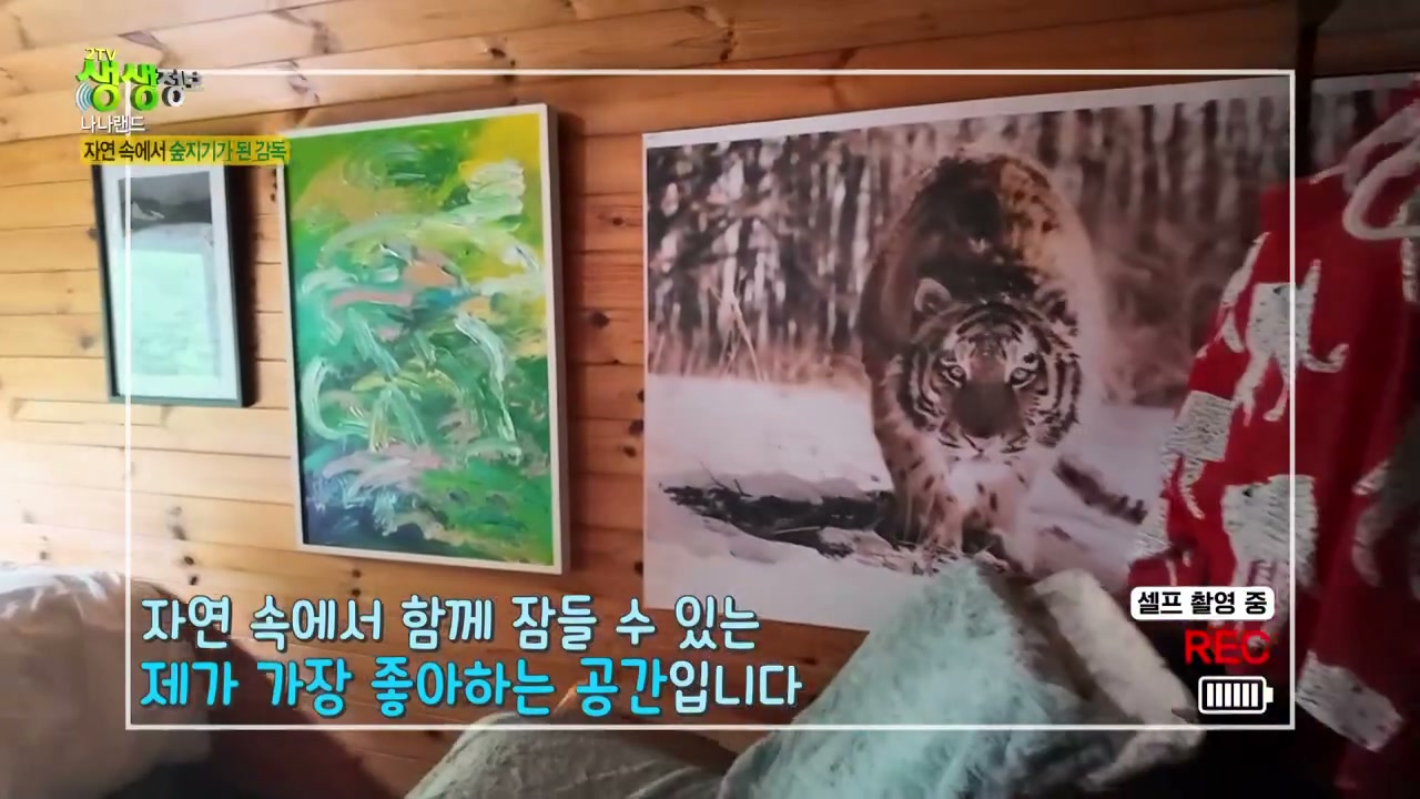 생생정보 나나랜드 자연속에서 숲지기가 된 감독 추가 캡처 2