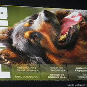 IMG-7743