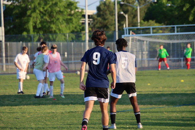 IMG-0095