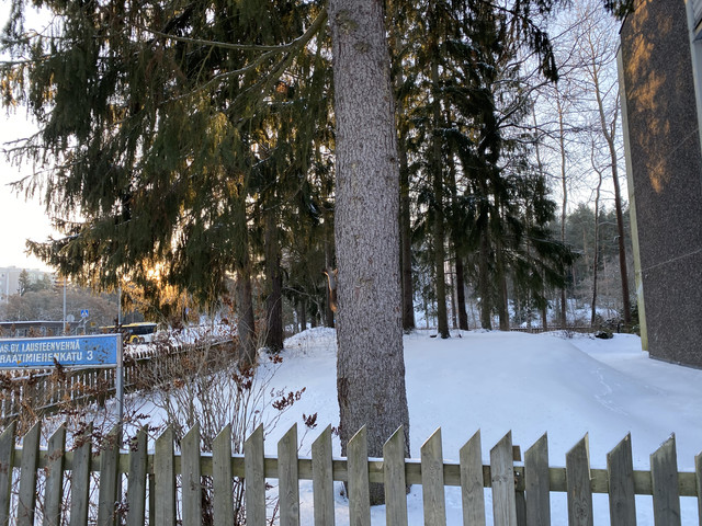 B54-C25-AE-66-F4-4145-8-D18-270035-DB28-