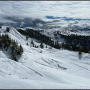 comp-IMG-3965