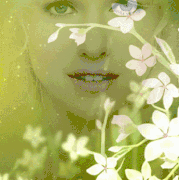 8.gif