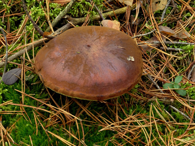 DSC05546