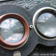 IMG-3146