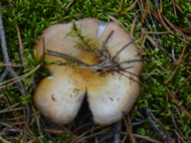 DSC01500