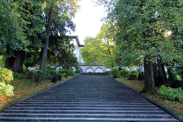 IMG-0169