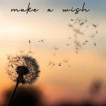makeawish.png