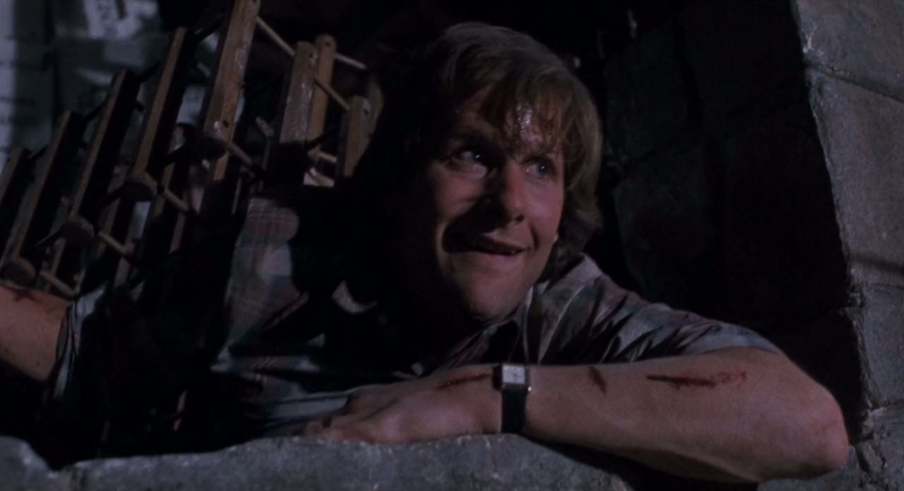 Arachnophobia Screenshot