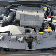 45652566 Image 11